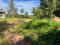 10 CENT HOUSE PLOT