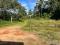 20 CENT HOUSE PLOT