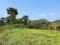 6.5 ACRE RESORT LAND