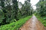 3 ACRE AGRICULTURE LAND