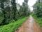 3 ACRE AGRICULTURE LAND