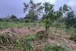 2.5 ACRE RESORT LAND