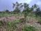 2.5 ACRE RESORT LAND
