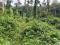 2 ACRE FARM LAND