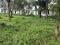 30 CENT HOUSE PLOT