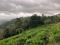 3 ACRE RESORT LAND