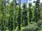 5 ACRE LAND