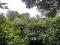 1 ACRE COFFEE LAND