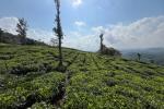 5.90 ACRE RESOT LAND