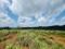 8 ACRE RESORT LAND