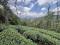 2 ACRE RESORT LAND