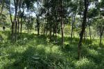 2.5 ACRE LAND
