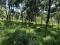 2.5 ACRE LAND