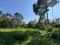 67 CENT HOUSE PLOT