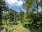 2.5 ACRE LAND WITH HOUSE