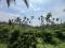 4 ACRE COFFEE LAND