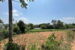 15 CENT HOUSE PLOT