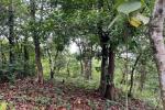 1 ACRE VILLA LAND