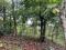 1 ACRE VILLA LAND