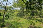 4 ACRE RESORT LAND