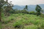 3.30 ACRE RESORT LAND