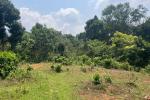 2.5 ACRE RESORT LAND