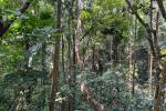 2.5 ACRE RESORT LAND