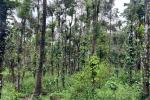 1 ACRE RESORT LAND