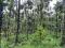 1 ACRE RESORT LAND