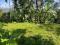 12 CENT HOUSE PLOT