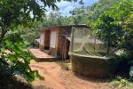 16 CENT LAND WITH OLD HOUSE
