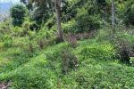 25 CENT HOUSE PLOT