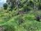 25 CENT HOUSE PLOT
