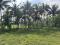 45 CENT HOUSE PLOT