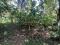10 ACRE COFFEE ESTATE