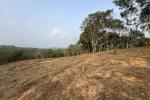 7 ACRE COMMERCIAL LAND