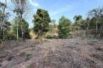 8 ACRE FARM LAND