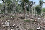 5.75 ACRE RESORT LAND OPPOSITE TO EDAKKAL CAVES