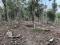 5.75 ACRE RESORT LAND OPPOSITE TO EDAKKAL CAVES