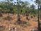 25 CENT RESIDENTIAL PLOT WITH SCENIC PADDY VIEWS