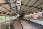 1 ACRE LAND WITH FUNCTIONAL CATTLE FARM SETUP