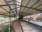 1 ACRE LAND WITH FUNCTIONAL CATTLE FARM SETUP