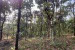 1 ACRE FARM LAND 