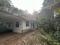50 CENT PROPERTY WITH 3BHK HOUSE