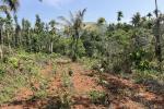1 ACRE LAND WITH STREAM BORDER AND POND