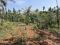 1 ACRE LAND WITH STREAM BORDER AND POND