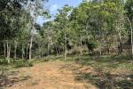 1 ACRE AGRICULTURE LAND