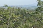 5.5 ACRE RESORT LAND 