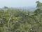 5.5 ACRE RESORT LAND 