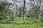 5.30 ACRE MIXED CULTIVATION LAND NEAR KURUVA ISLAND